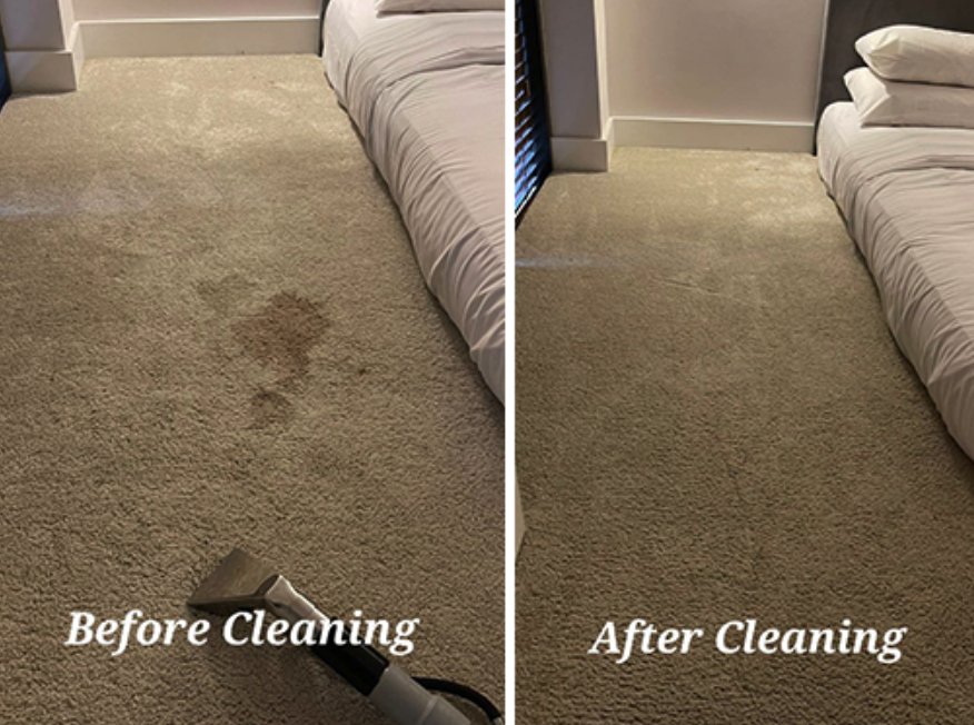 Bedroom carpet pet stain before and after
