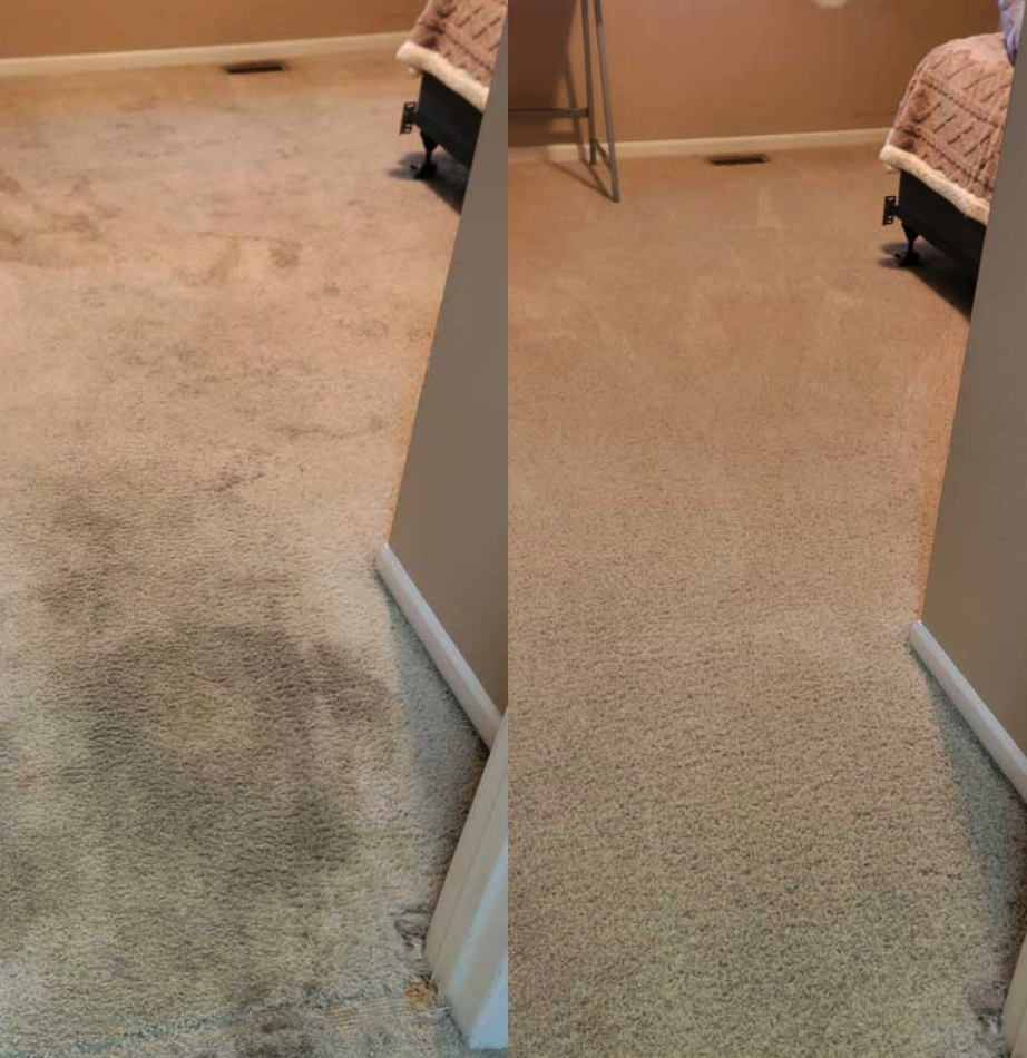 Hallway traffic lane carpet before and after